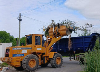 Cronograma del sistema municipal de recolección de ramas para esta semana