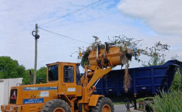 Cronograma del sistema municipal de recolección de ramas para esta semana