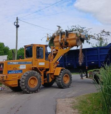 Cronograma del sistema municipal de recolección de ramas para esta semana