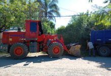 Cronograma del sistema municipal de recolección de ramas para esta semana