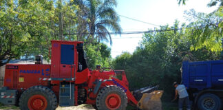 Cronograma del sistema municipal de recolección de ramas para esta semana