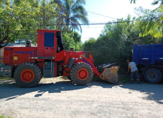 Cronograma del sistema municipal de recolección de ramas para esta semana