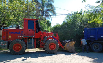 Cronograma del sistema municipal de recolección de ramas para esta semana