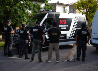 Savio: gracias a una denuncia vecinal, desarticulan una organización narco-criminal