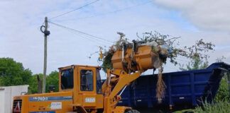 Cronograma del sistema municipal de recolección de ramas para esta semana
