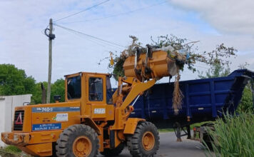 Cronograma del sistema municipal de recolección de ramas para esta semana