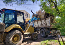Cronograma del sistema municipal de recolección de ramas para esta semana