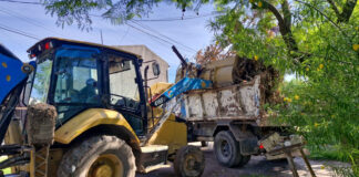 Cronograma del sistema municipal de recolección de ramas para esta semana