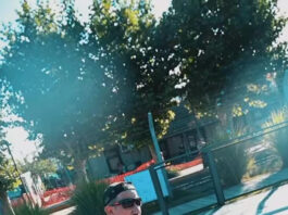 Escobar celebró el Día Internacional de las Personas con Discapacidad