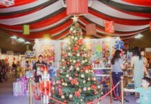 Abrió el Mercado de Oportunidades Navideño: hasta el domingo, ofertas imperdibles