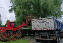 Cronograma del sistema municipal de recolección de ramas para esta semana