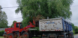 Cronograma del sistema municipal de recolección de ramas para esta semana