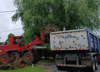 Cronograma del sistema municipal de recolección de ramas para esta semana