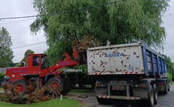 Cronograma del sistema municipal de recolección de ramas para esta semana