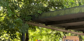 Festival de Arte en el Centro de Salud Mental y Adicciones Papa Francisco