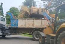 Cronograma del sistema municipal de recolección de ramas para esta semana