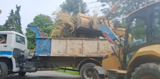 Cronograma del sistema municipal de recolección de ramas para esta semana