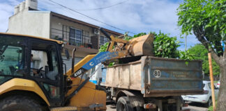 Cronograma del sistema municipal de recolección de ramas para esta semana