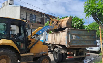 Cronograma del sistema municipal de recolección de ramas para esta semana