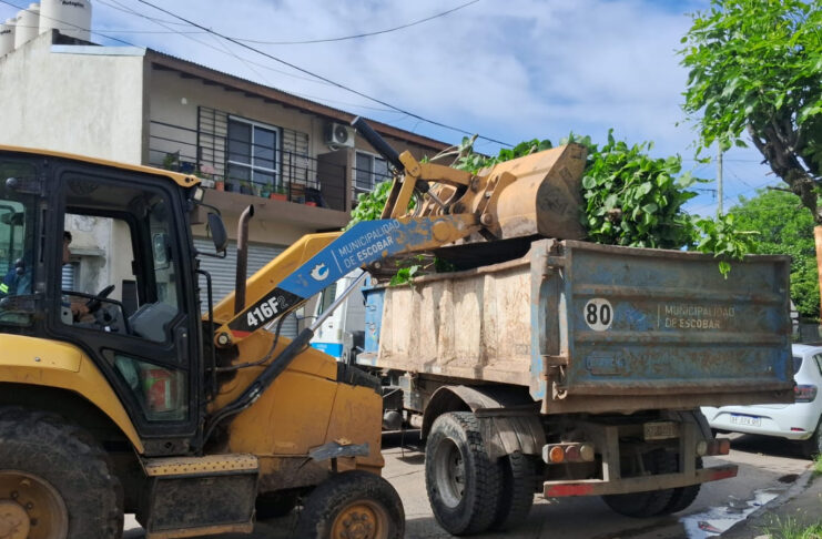 Cronograma del sistema municipal de recolección de ramas para esta semana