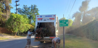 Cronograma del sistema municipal de recolección de ramas para esta semana