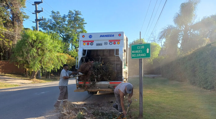 Cronograma del sistema municipal de recolección de ramas para esta semana