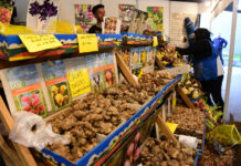 El Mercado de Productos Familiares vuelve a Belén de Escobar