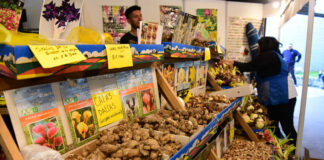 El Mercado de Productos Familiares vuelve a Belén de Escobar