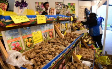 El Mercado de Productos Familiares vuelve a Belén de Escobar