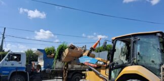 Cronograma del sistema municipal de recolección de ramas para esta semana