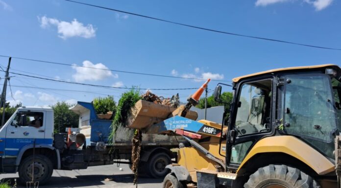 Cronograma del sistema municipal de recolección de ramas para esta semana