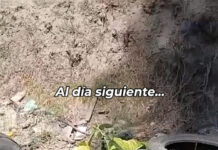 Limpiaron un basural en Maschwitz y a los cuatro días ya había uno peor