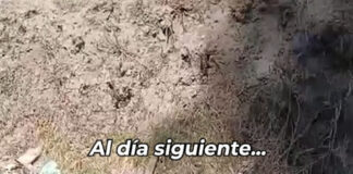 Limpiaron un basural en Maschwitz y a los cuatro días ya había uno peor