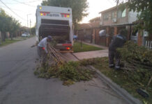 Cronograma del sistema municipal de recolección de ramas para esta semana