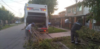 Cronograma del sistema municipal de recolección de ramas para esta semana