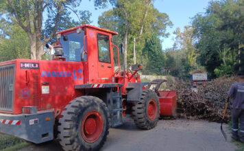 Cronograma del sistema de recolección de ramas para esta semana en Loma Verde y Maquinista Savio